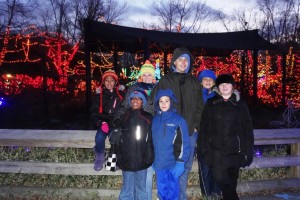 Zoo lights 3