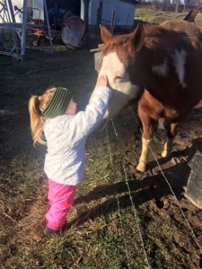 Reunited: My daughter with my first horse, Daisy