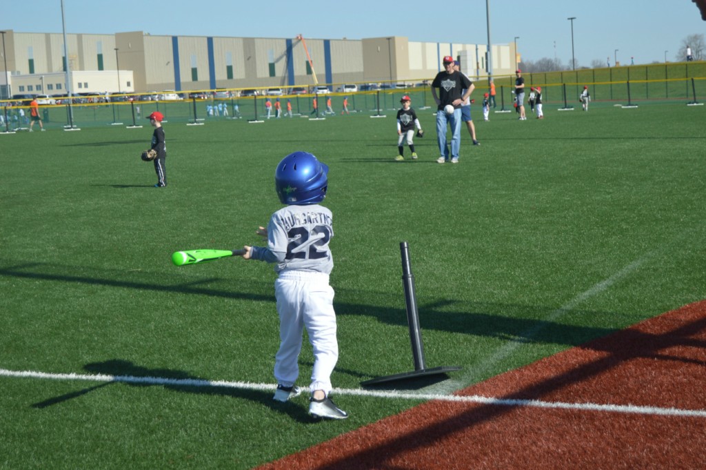 Baseball-Season-Cohen