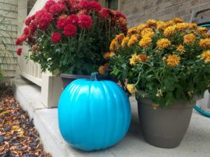 teal pumpkin