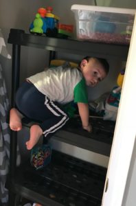 ninja son climbs shelves