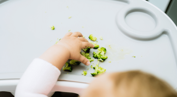 baby led weaning