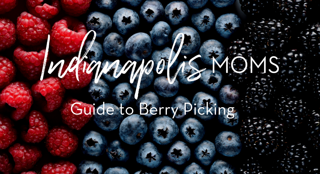 berry picking in indianpolis