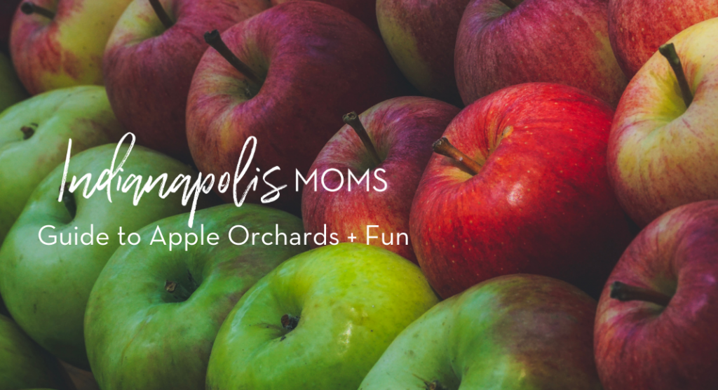 See Circle City Guide to Indianapolis Area Apple Orchards + Fun