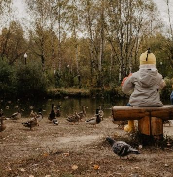 Getting Fresh Air- Outdoor Spots to Visit Near Indy