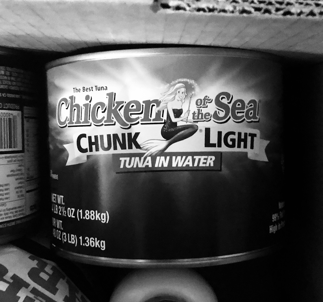 Big Ole Can of Tuna