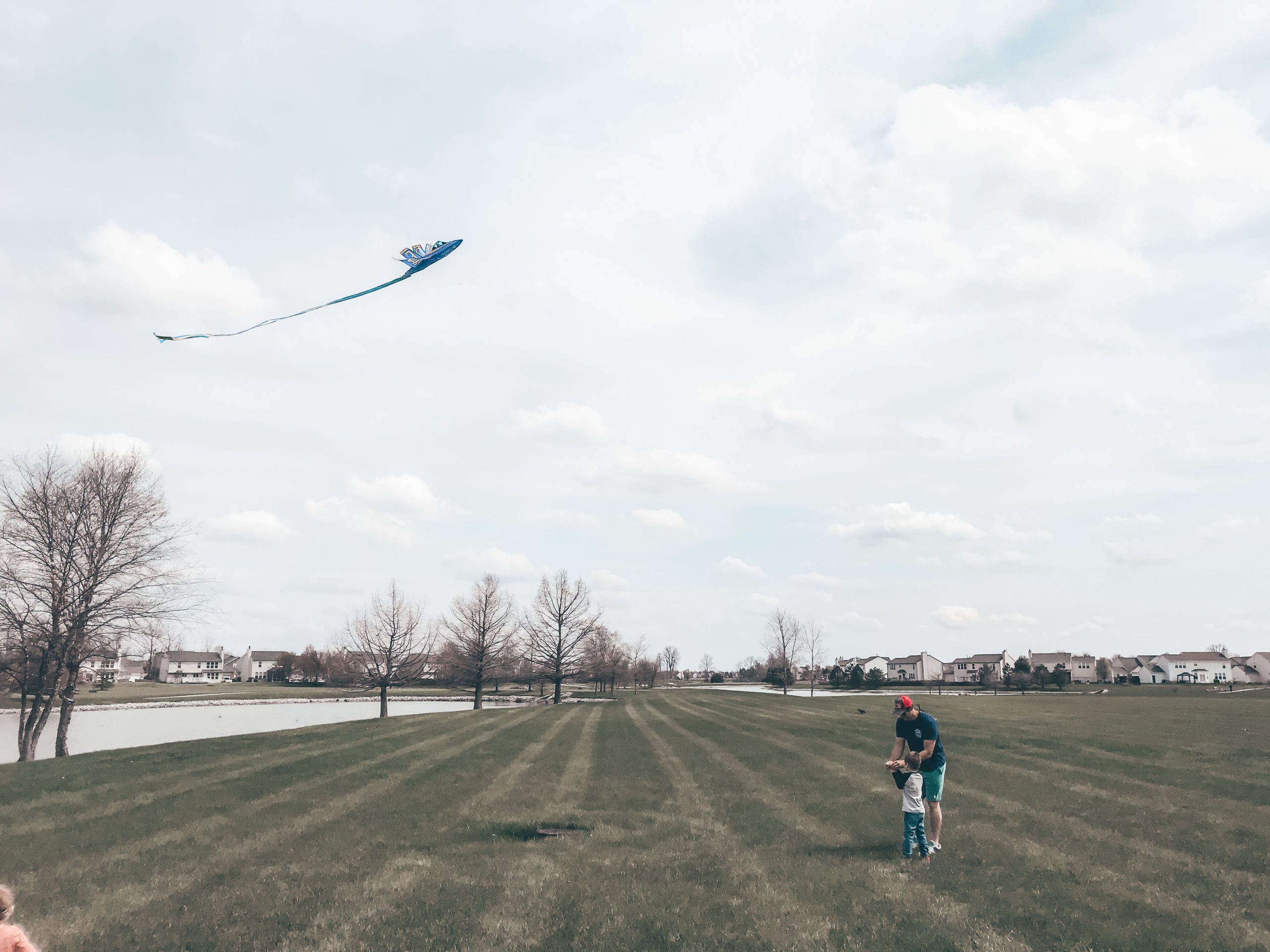 flying a kite