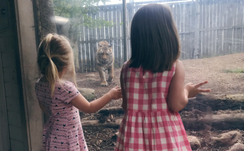 planning your trip to the Indianapolis Zoo