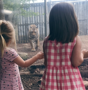 Pandemic Protocols: Planning Your Trip to the Indianapolis Zoo planning your trip to the Indianapolis Zoo