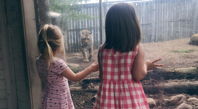 planning your trip to the Indianapolis Zoo