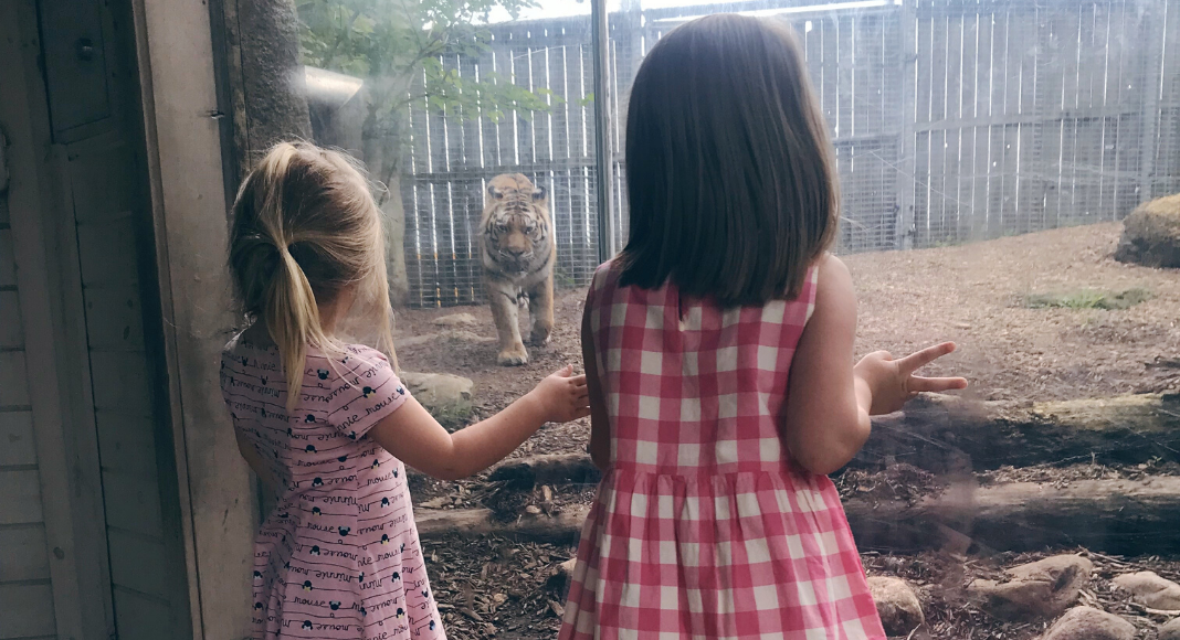 planning your trip to the Indianapolis Zoo