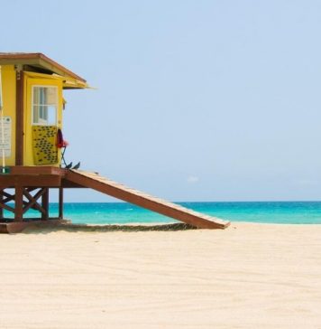 I Flew to Florida During Covid: A Survivor’s Story