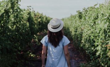 Surviving in Our Comparison Culture