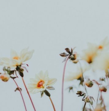 Stop the Judgment: Mourning Loss and Grieving With Chrissy
