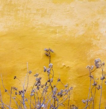 Hope in the Midst of Loss and Infertility