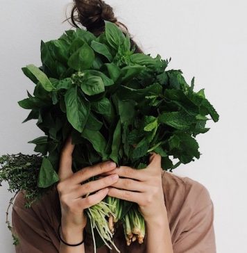 Thirteen Approaches To a Vegan Diet Resolution From a Vegan