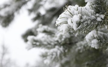 Cabin Fever? Get Outside!