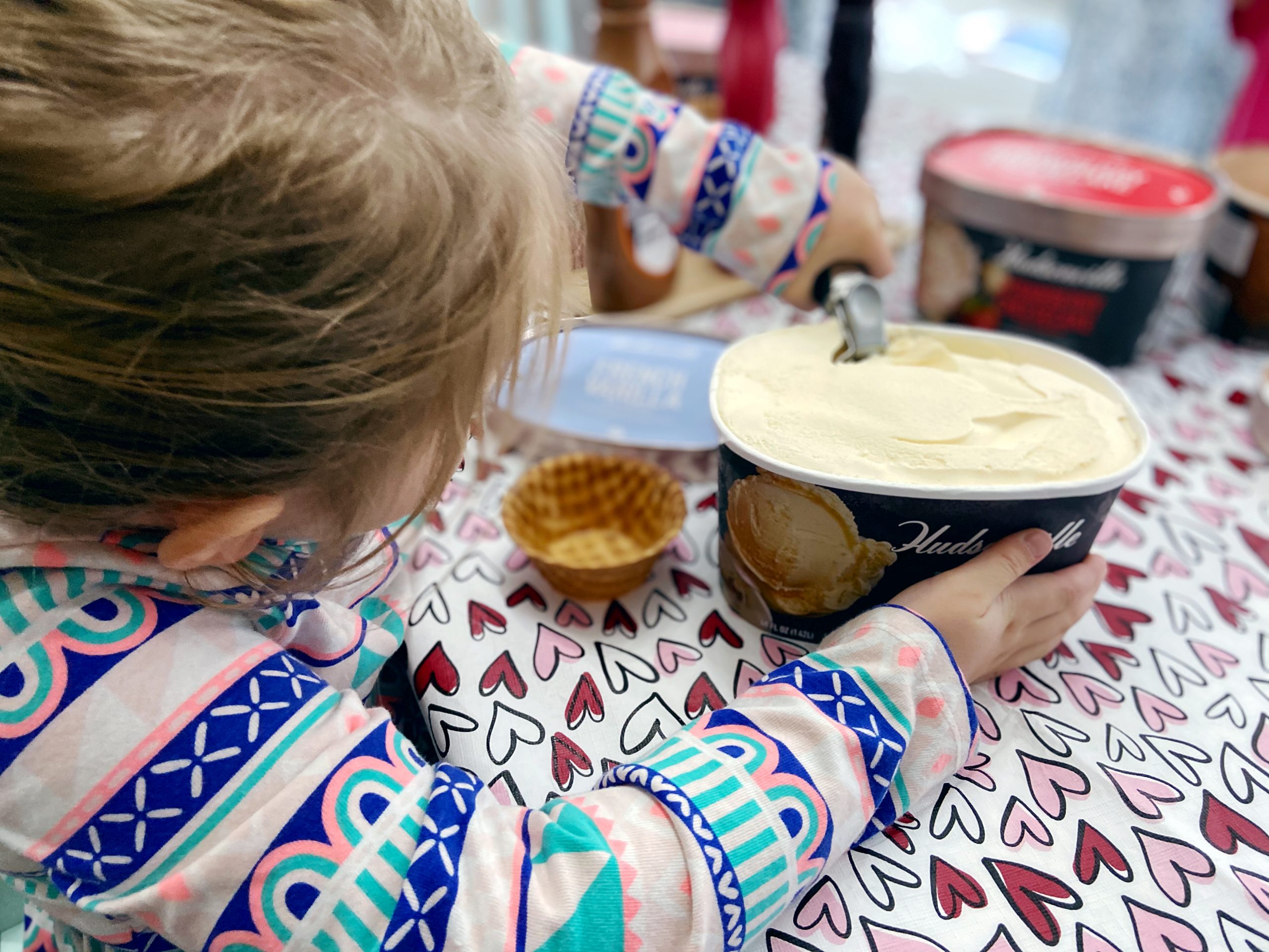 Hudsonville Ice Cream Sundae Bar