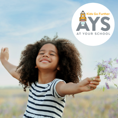 AYS guide