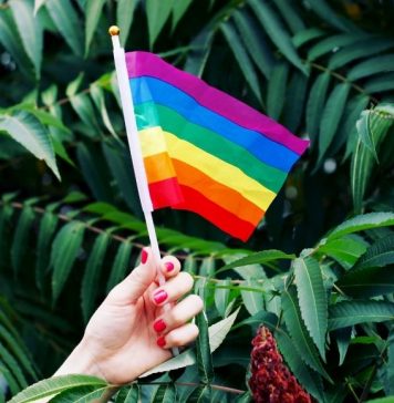 Pride Activities for the Family