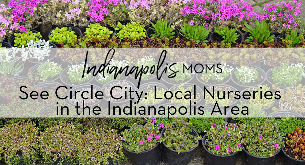 See Circle City Local Nurseries in the Indianapolis Area