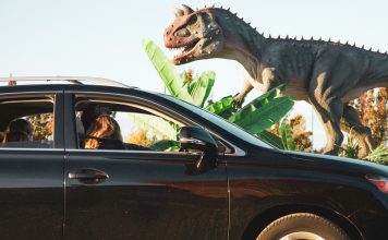 Dinosaur Adventure