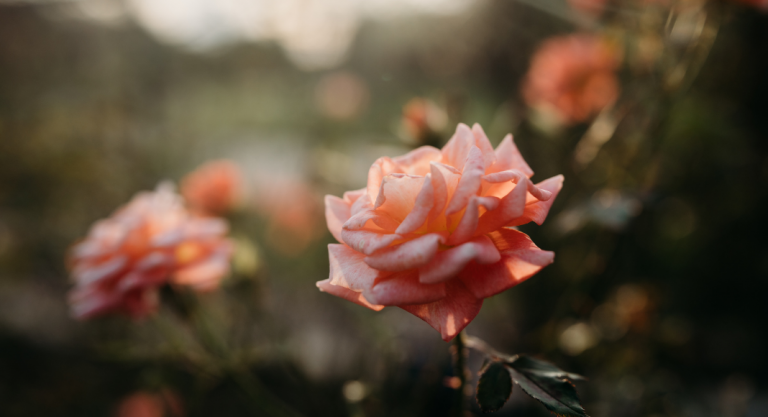 June 9th: That Was Supposed To Be Her Birthday