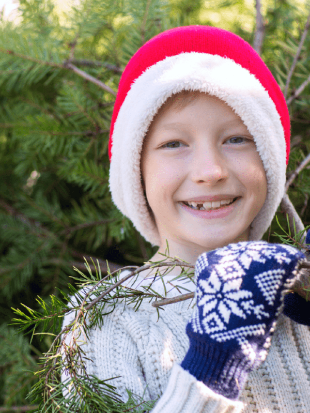 Indianapolis Christmas Tree Farms Indianapolis Moms