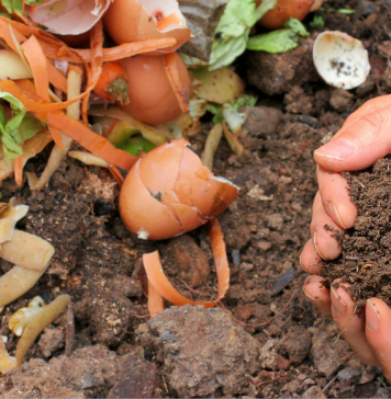 Outsourcing Composting with Re(317)