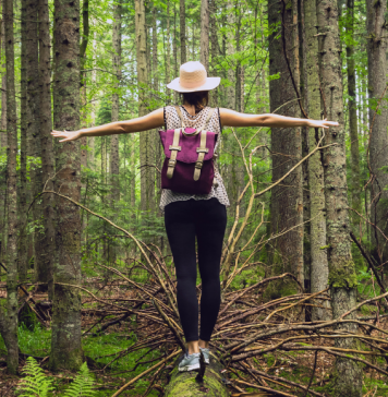 Forest Bathing: Finding Peace Among Trees