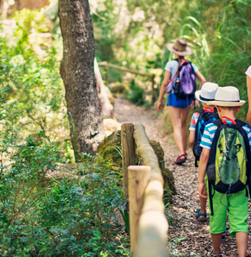 Our Introduction to Lyme Season: Five Things to Know