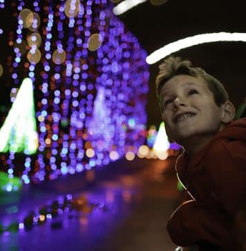 Christmas Nights of Lights Christmas Nights of Lights