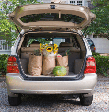 Millennial Minivan Mom