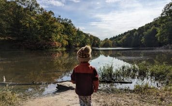 Exploring Brown County with Toddlers
