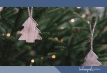 christmas tree farms indianapolis