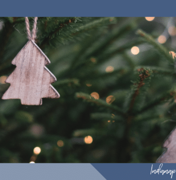 christmas tree farms indianapolis