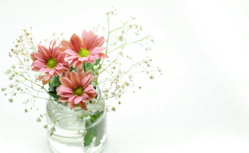 10 Simple Things That Make My Life Better