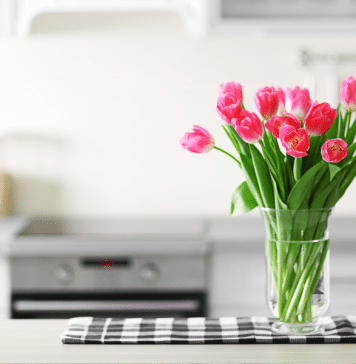 Grownups Are a Little Like Magic