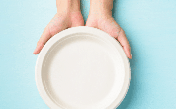 Paper Plate Mom