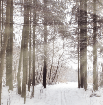 Winter Doldrums