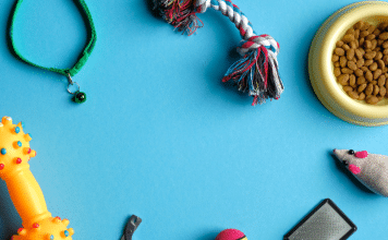 A Lifeboat in the Ocean of Grief: How Our Puppy Brought Us Joy