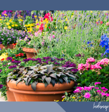 local nurseries indianapolis