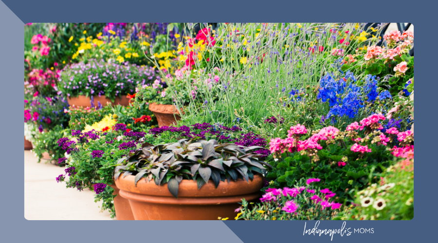 local nurseries indianapolis