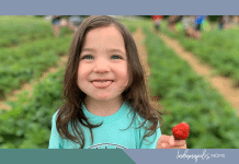 berry picking Indianapolis
