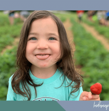 See Circle City: Indianapolis Moms Guide to Berry Picking berry picking Indianapolis