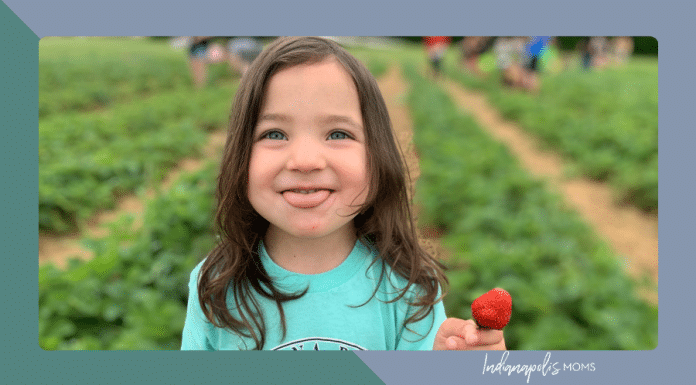 berry picking Indianapolis