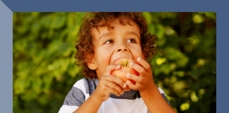 free summer meals Indianapolis