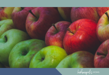 apple orchards indianapolis