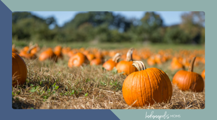 pumpkin patches Indianapolis