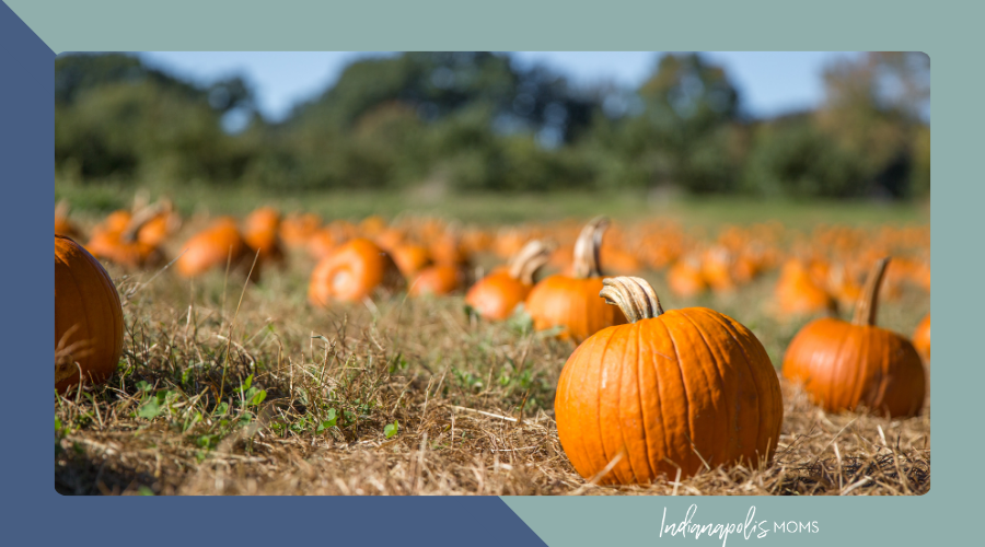 pumpkin patches Indianapolis